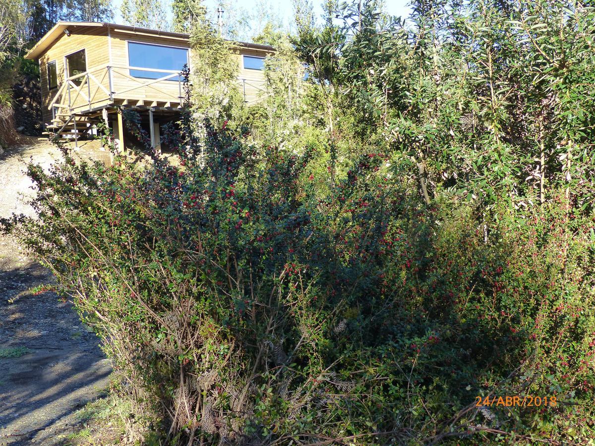 Cabañas Latitud 41 Sur Quillaipe Exterior foto
